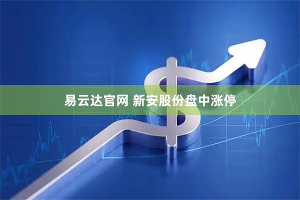 易云达官网 新安股份盘中涨停