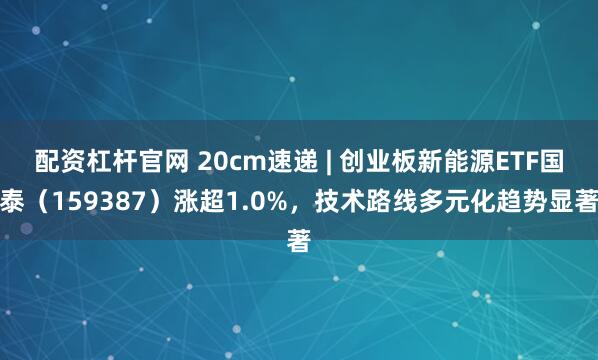 配资杠杆官网 20cm速递 | 创业板新能源ETF国泰（159387）涨超1.0%，技术路线多元化趋势显著