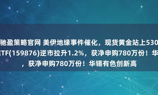 驰盈策略官网 美伊地缘事件催化，现货黄金站上5300美元！有色ETF(159876)逆市拉升1.2%，获净申购780万份！华锡有色创新高